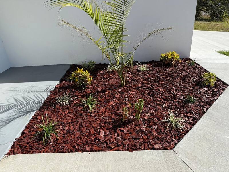 Landscaping y mulch