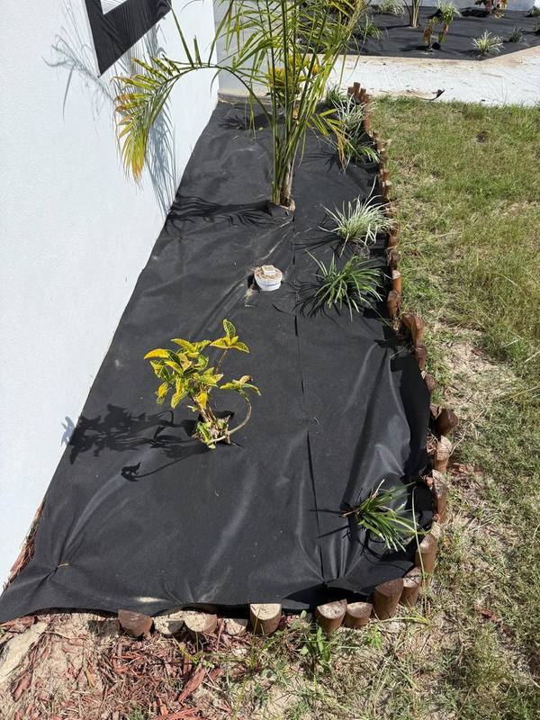 Jardinería y plantas